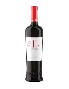 VIÑA PUEBLA  12MESES