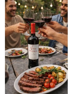 VIÑA PUEBLA  12MESES