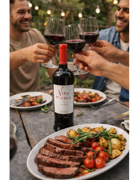 VIÑA PUEBLA  12MESES