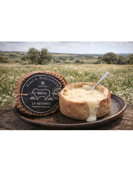 Retorta Finca Pascualete